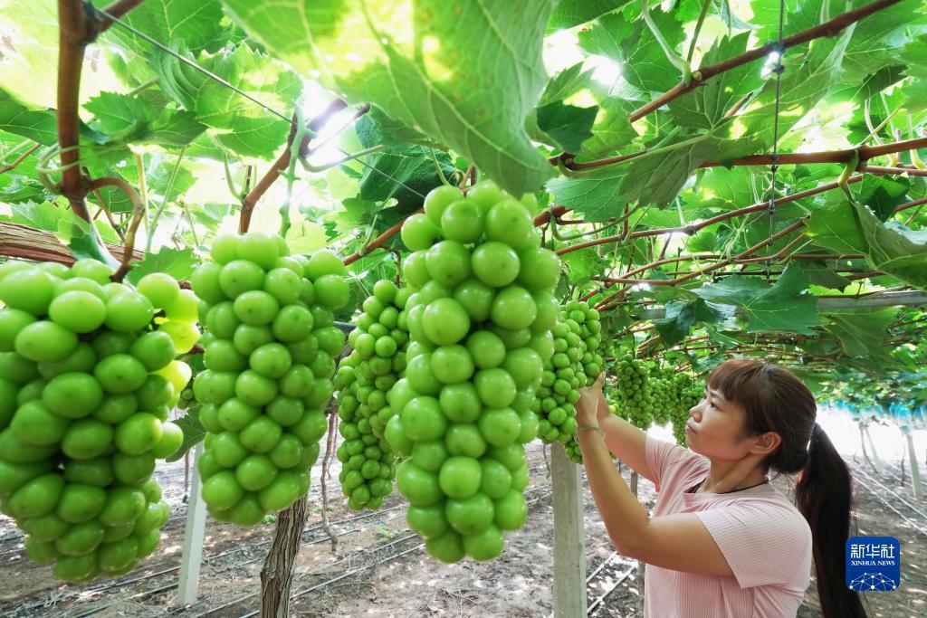 小白屋论坛